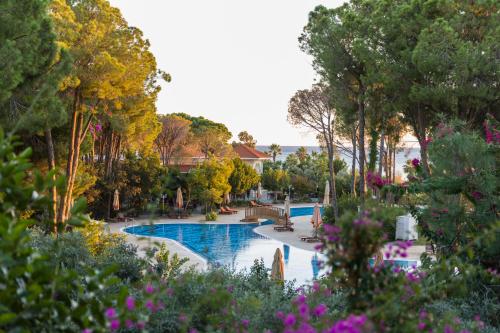 Galerie Vorschau 5